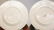 12 Royal Worcester Porcelain Dinner Plates, 1891 - 7