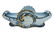 Emile Galle Faience Jardiniere