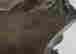 item-87548048=5