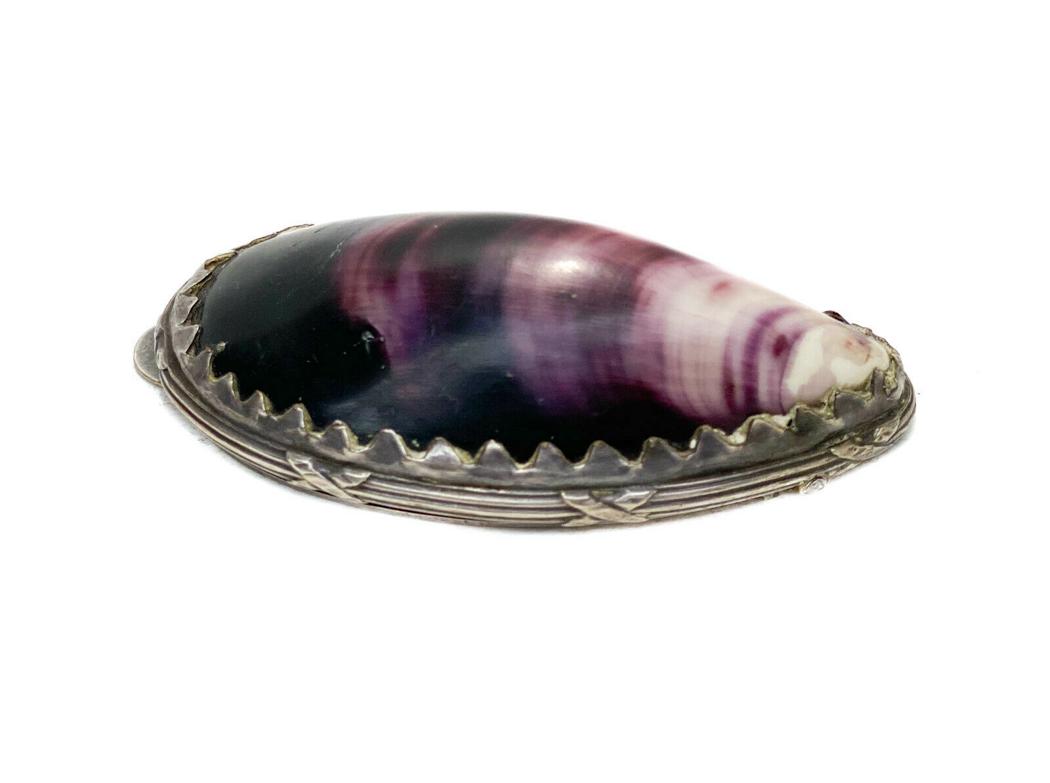 Continental Silver Purple Cowry Shell Snuff Box, 19th C (1 of 5)