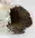 item-95001369=4