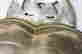 item-95001404=4
