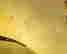 item-98693737=4