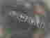item-98693759=6