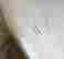 item-100328010=4