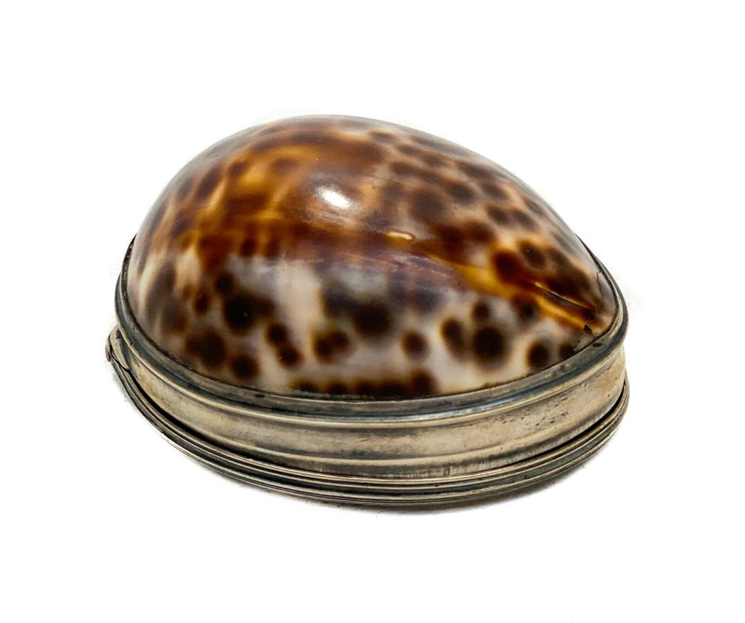 William Pitts Silver Cowry Shell Snuff Box, George III (1 of 5)