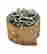 item-101767776=2