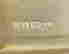 item-101767830=6