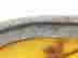 item-101767832=5