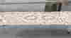 item-103536441=2