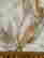 item-103536449=3