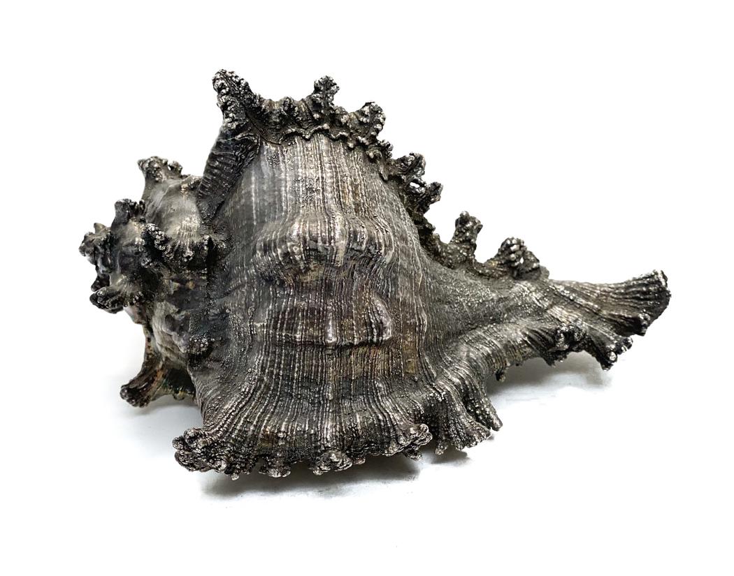 Silver Overlay Conch Shell. (1 of 4)