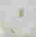 item-105907393=4