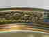 item-110863782=8
