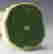 item-116267952=5