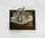 item-118857685=4