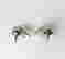 item-120715490=3