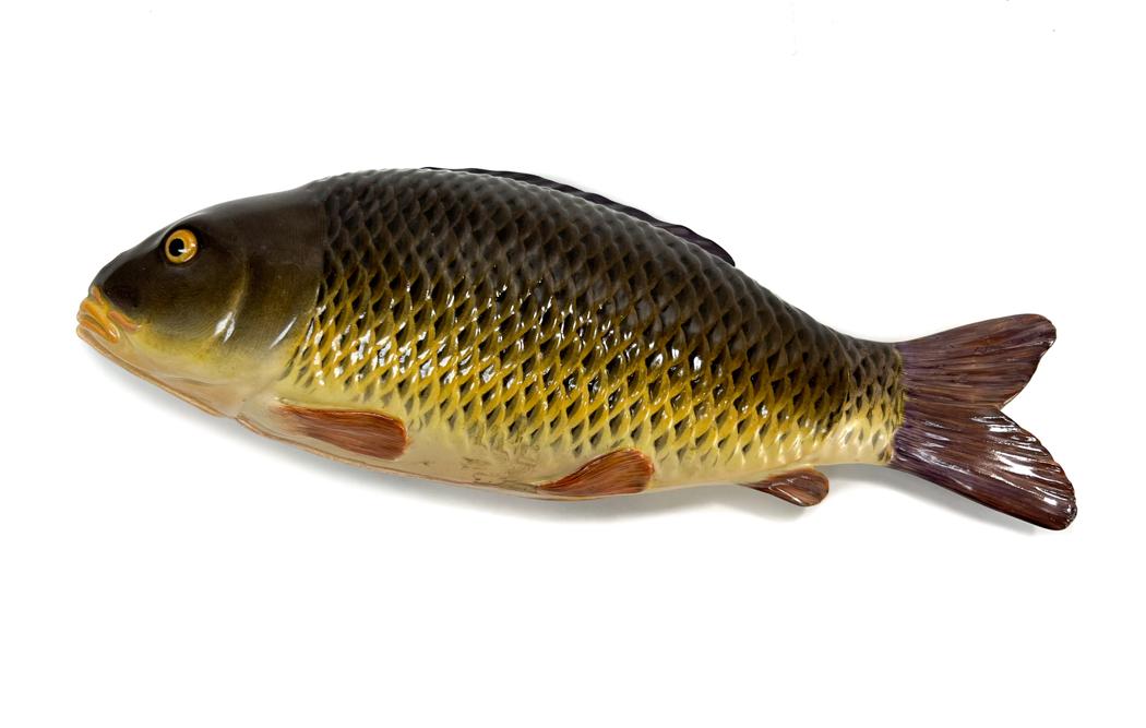 Meissen Fish Tureen and Cover (1 of 5)