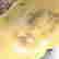 item-128337090=3