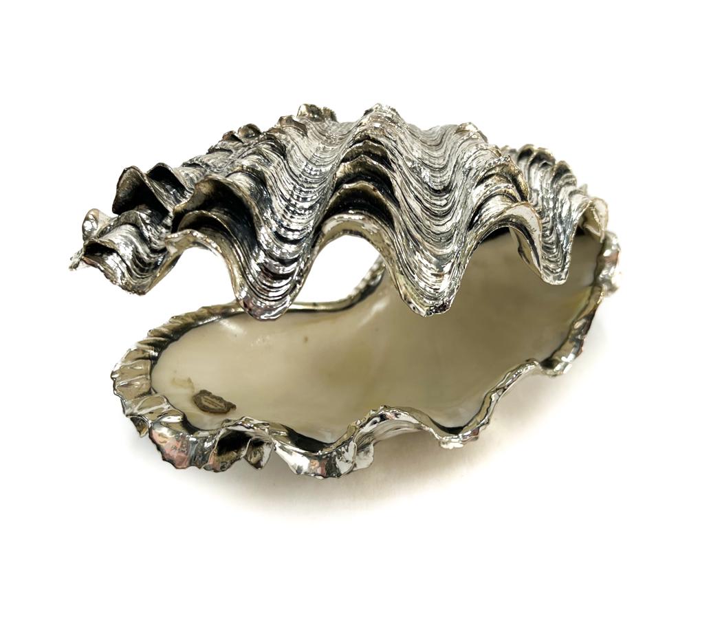 Mario Buccellati Silver Mounted Shell: Mario Buccellati Silver Overlay Shell, 20th Century. Marked "Mario Buccellati" to the interior. Weight Approx., 4.07 ozt Measures Approx., 4.5 inches x 2.5 inches x 2.5 inches