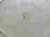 item-128337155=3