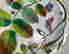 item-130860414=6