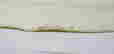 item-130860425=6