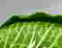 item-130860434=7
