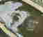 item-130860462=5