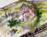 item-130860467=2