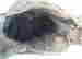 item-130860703=5