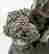 item-130860712=9