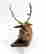 item-130860720=2