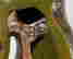 item-130860720=7