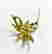 item-130860838=6