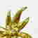 item-130860838=7