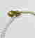 item-130860845=6