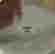 item-132675707=9