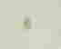 item-132675910=3