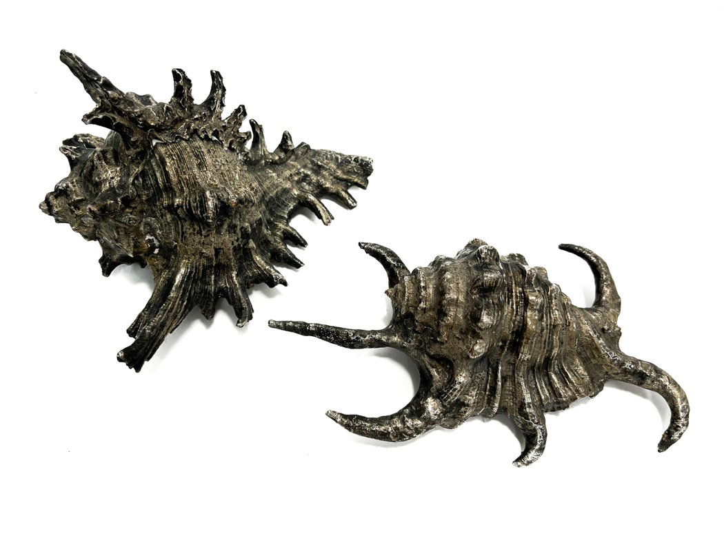 Pair Solid Silver Coated Conch Shell Figurines (1 of 4)