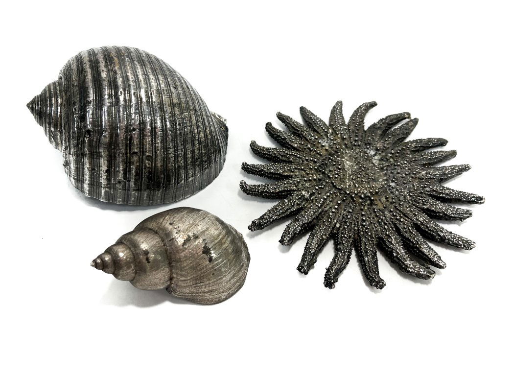 3 pc Solid Silver Coated Shell & Starfish Figurines: 3 pc Solid Silver Coated Shell & Starfish Figurines. The pieces include two shells and one sunflower starfish. Unmarked. Weight Approx., 5.2 ozt Measures Approx., Larger Shell: 4.5 inches x 3 inches x