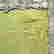 item-135168721=8