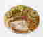 item-135169198=2