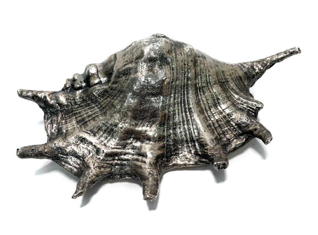 Large Frederico Buccellati 999 Silver Coated Conch Shell (1 of 7)