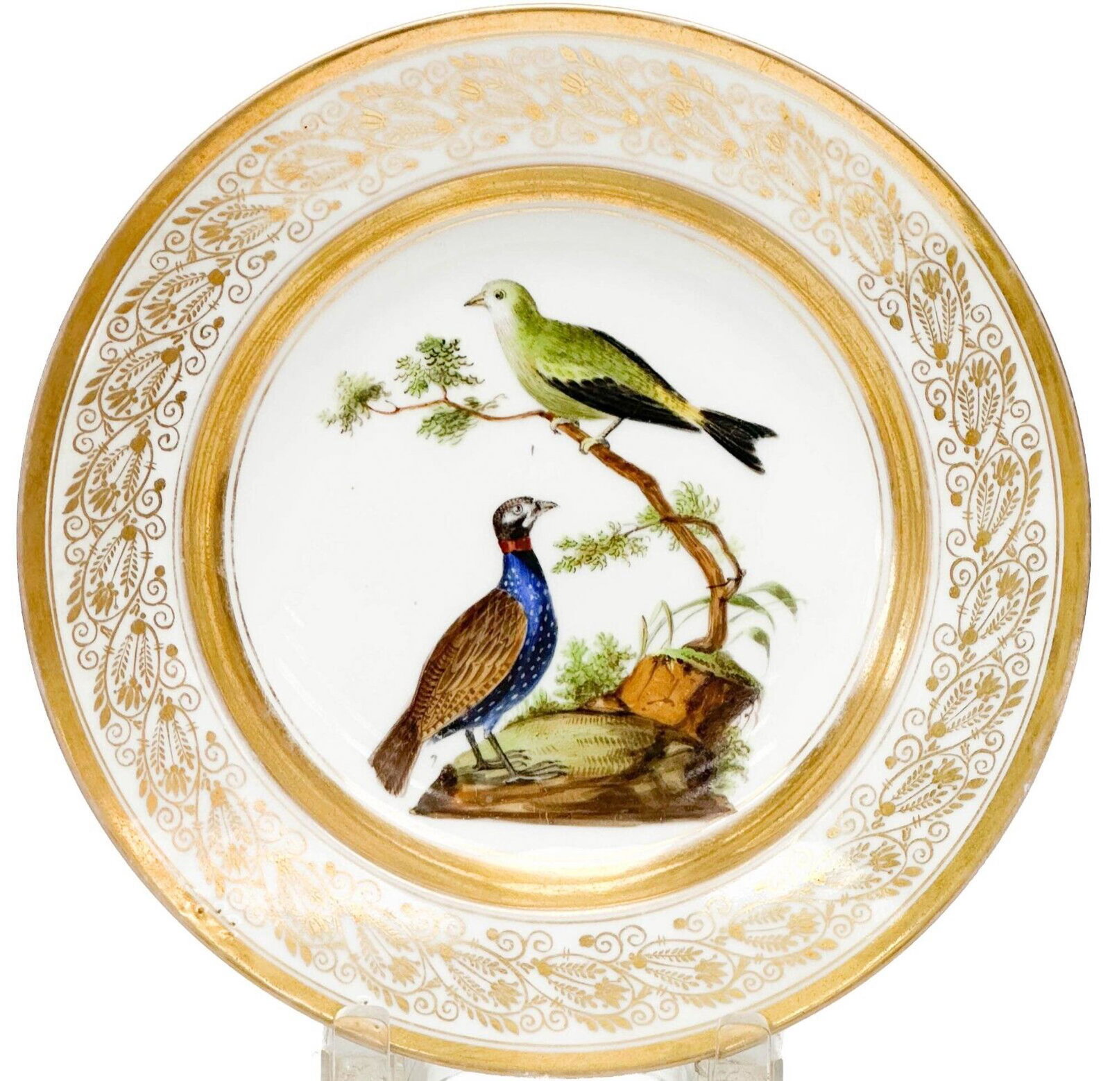 Paris Porcelain Napoli Giovine Hand Painted Porcelain Ornithological Plate c1830: Paris Porcelain hand painted ornithological porcelain plate, circa 1830. Hand painted scene with a pair of colorful birds to the center, gilt to the edge. Underside marked Giovine in Napoli. Weight Ap