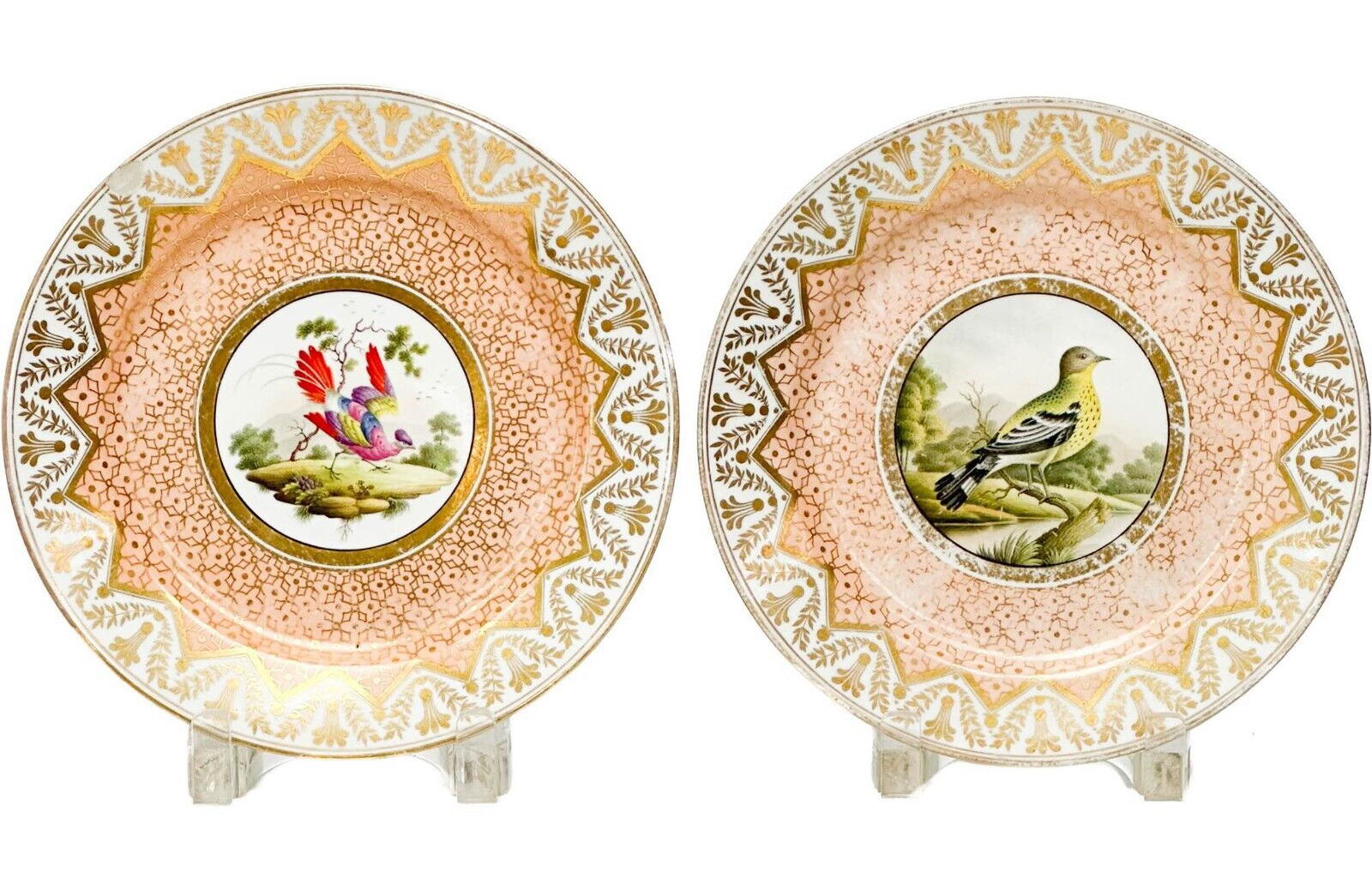 Pair Chamberlains Worcester Hand Painted Porcelain Cabinet Plates Birds (1 of 11)