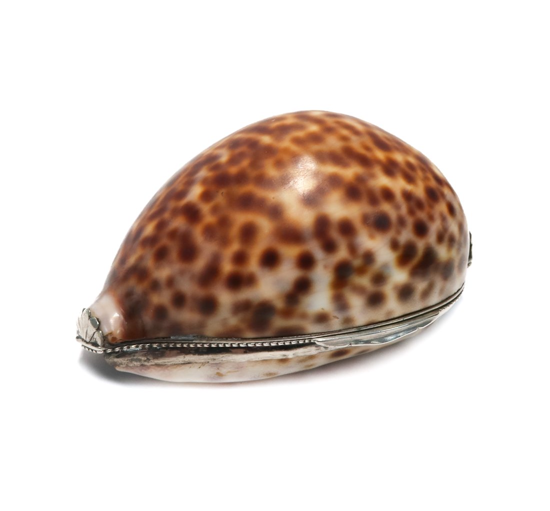 European Silver Cowry Shell Snuff Box, 19th Century (1 of 6)