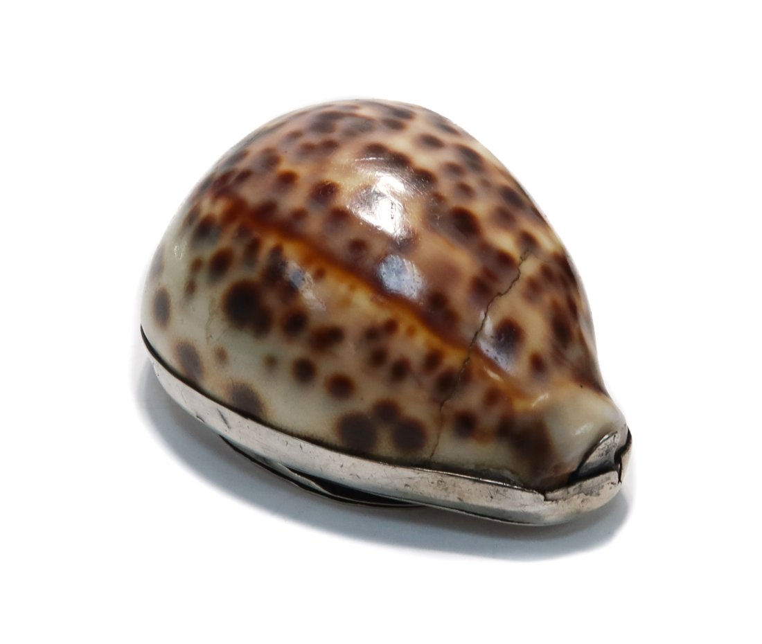 European Silver Cowry Shell Snuff Box, 18th Century (1 of 7)