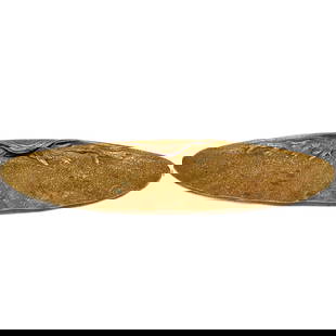 Tiffany Studios New York Gilt Bronze Pen Tray in Nautical #1843: Tiffany Studios New York Gilt Bronze Pen Tray in Nautical #1843. Shell shaped tray, underside marked Tiffany Studios 1843. Weight Approx., 1 lbs Measures Approx., 9.625 inches x 2.825 inches x .625 in