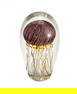 Richard Satava Hand Bowl Glass Jellyfish Paperweight